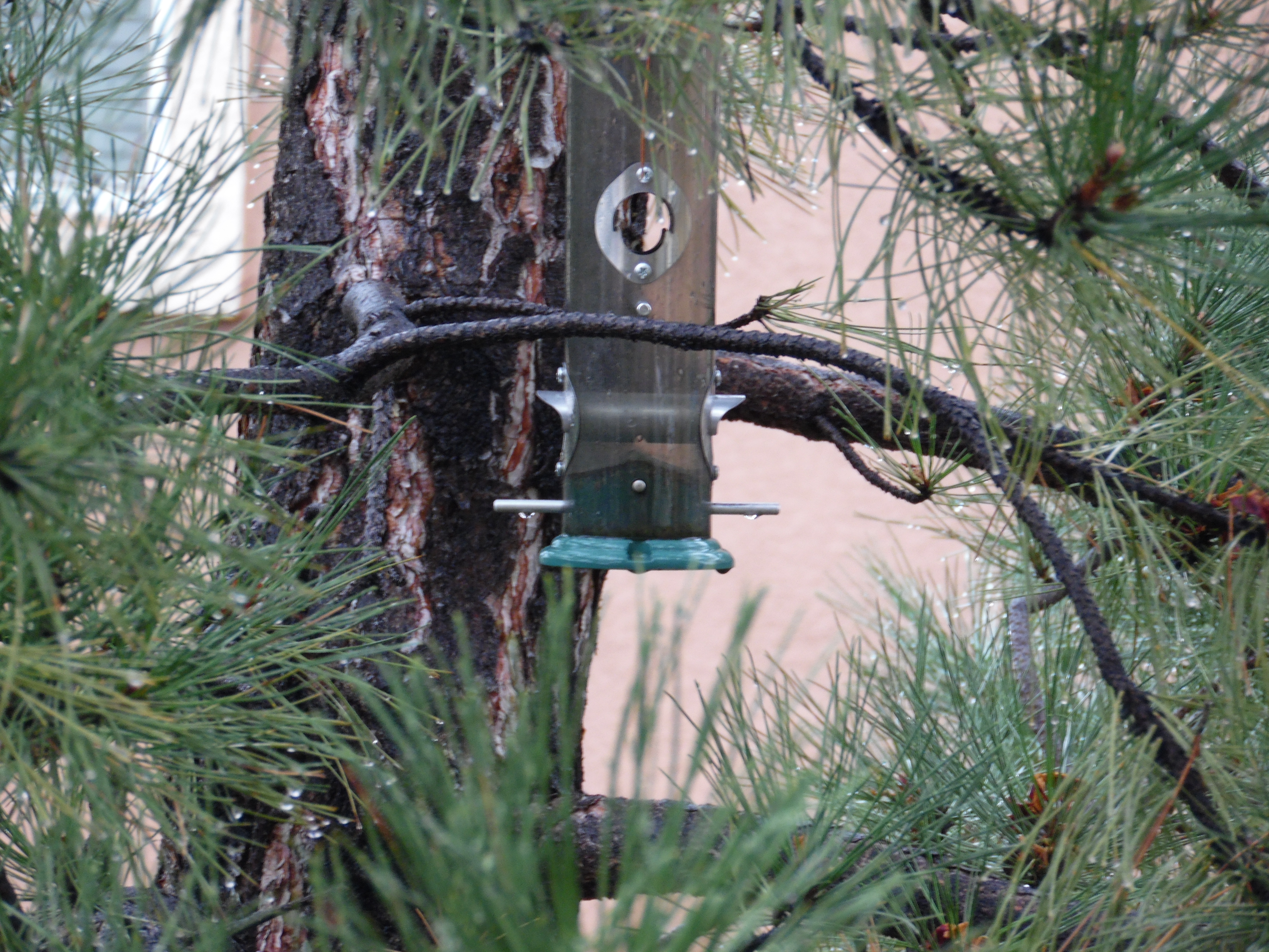 Empty Feeders Empty Feeders