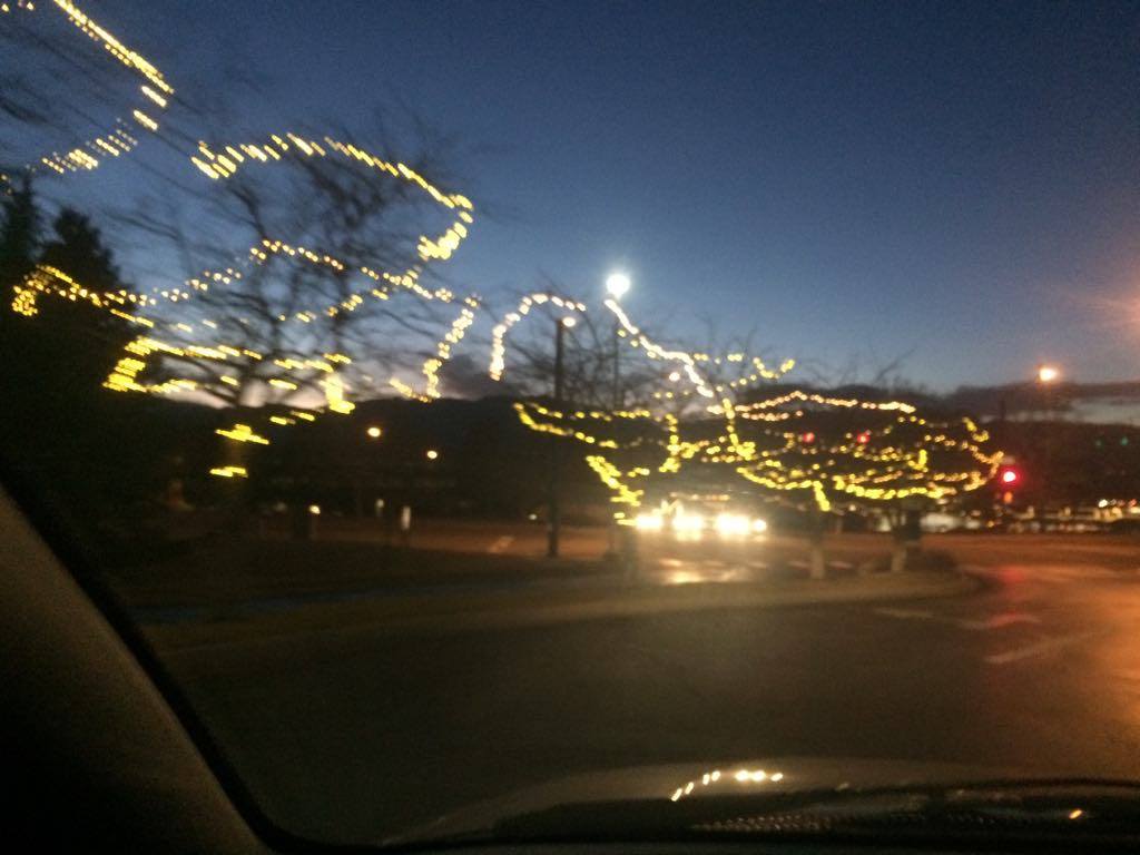 Bright Lights