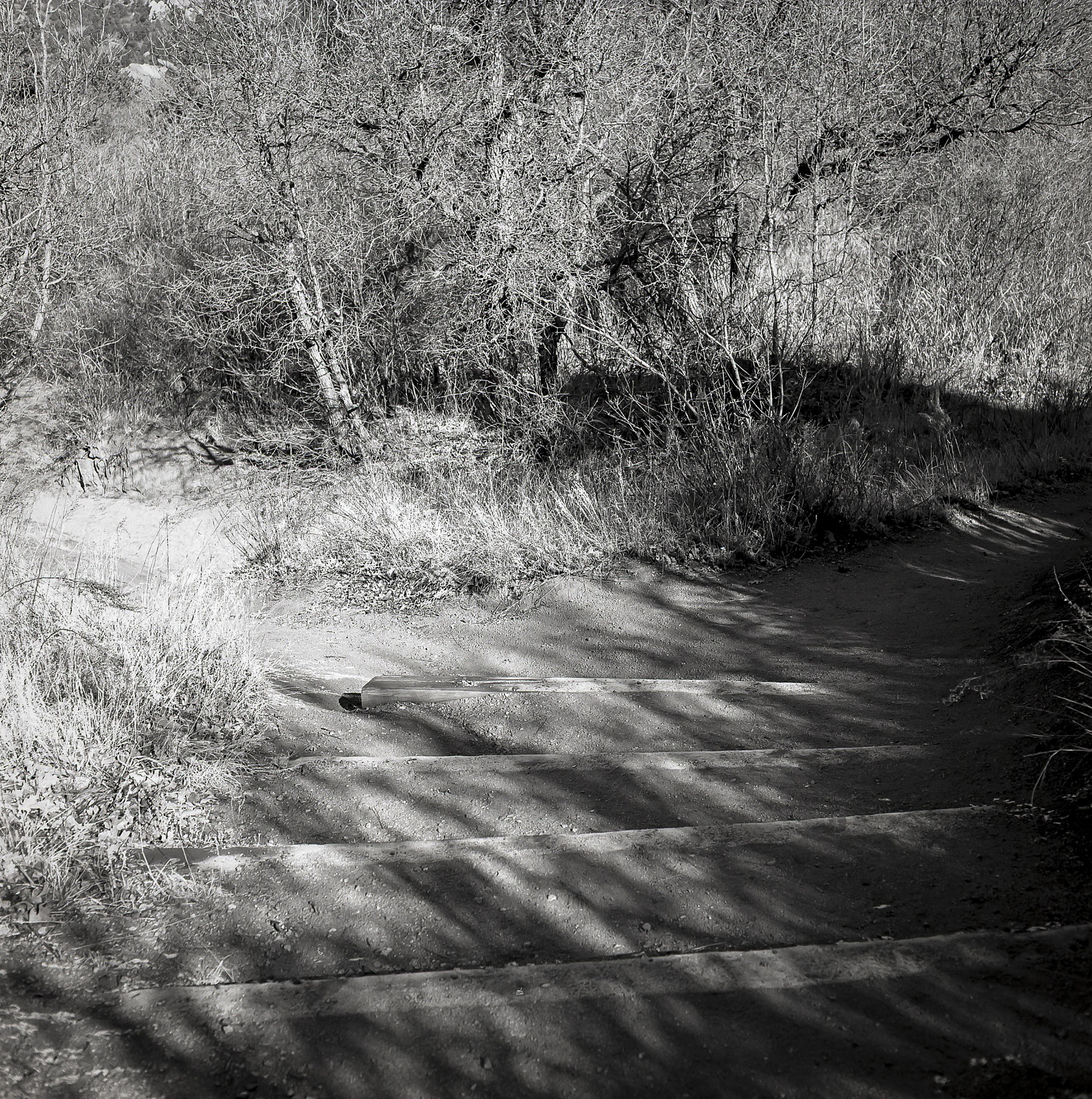 “When You Come to a Fork in the Road… “When You Come to a Fork in the Road…