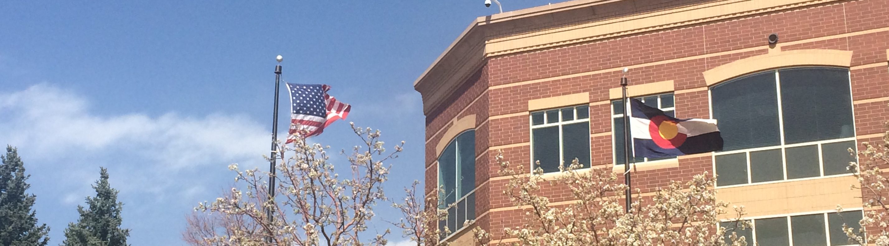 High Wind Advisory