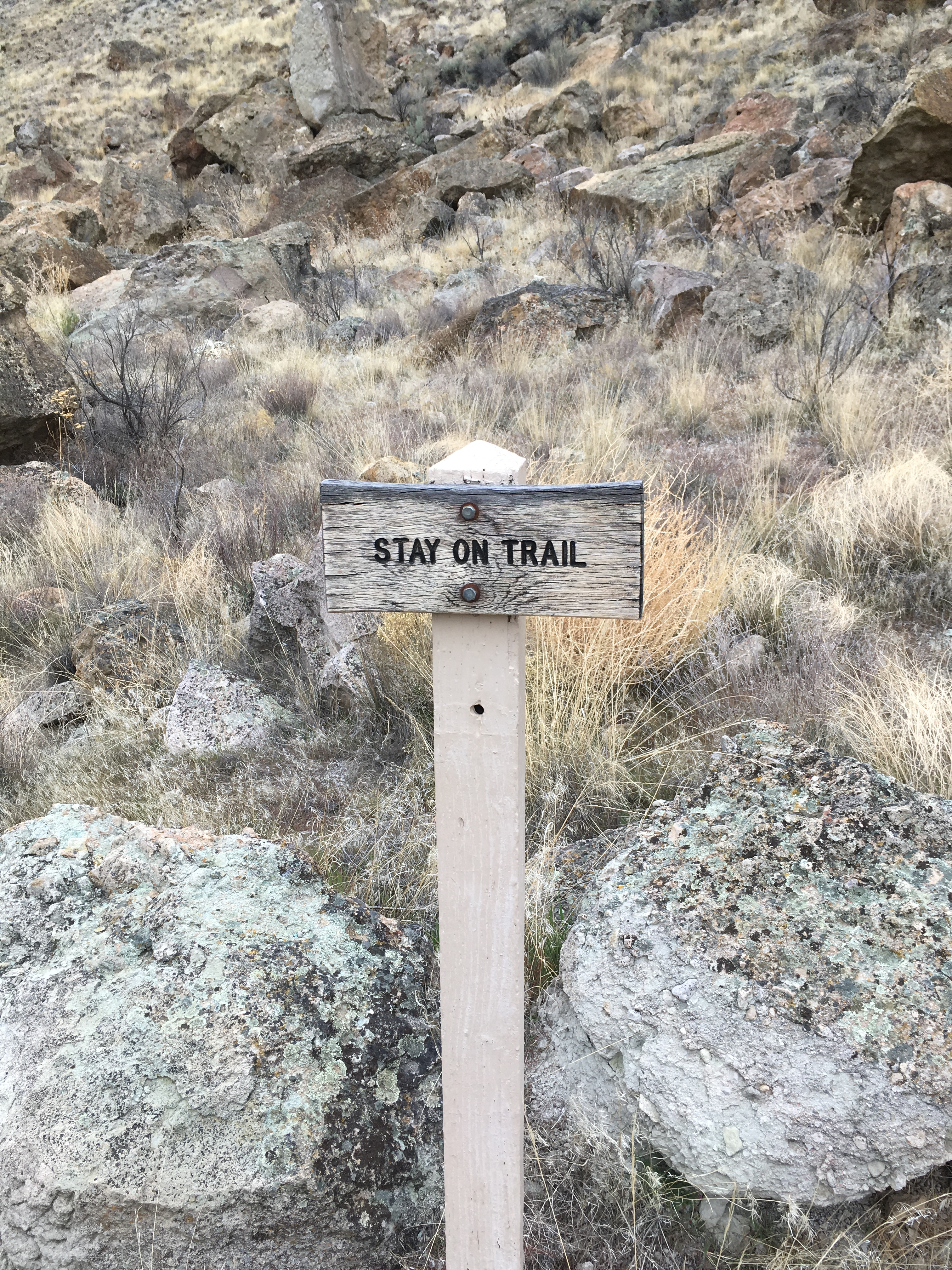 Stay on Trail!