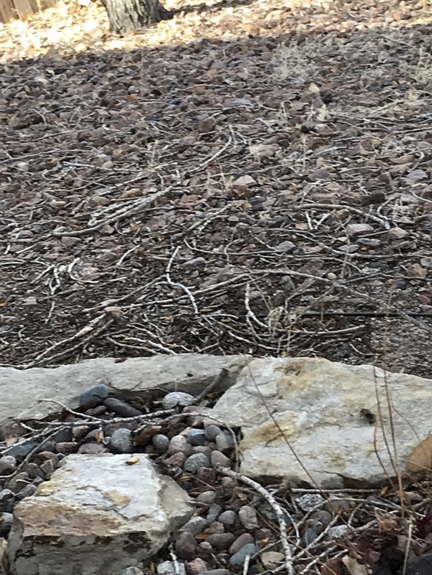 Rubble Without a Cause