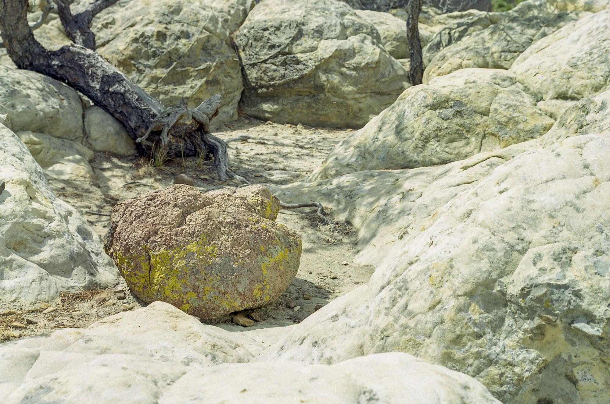 How’d That Rock Get Here?