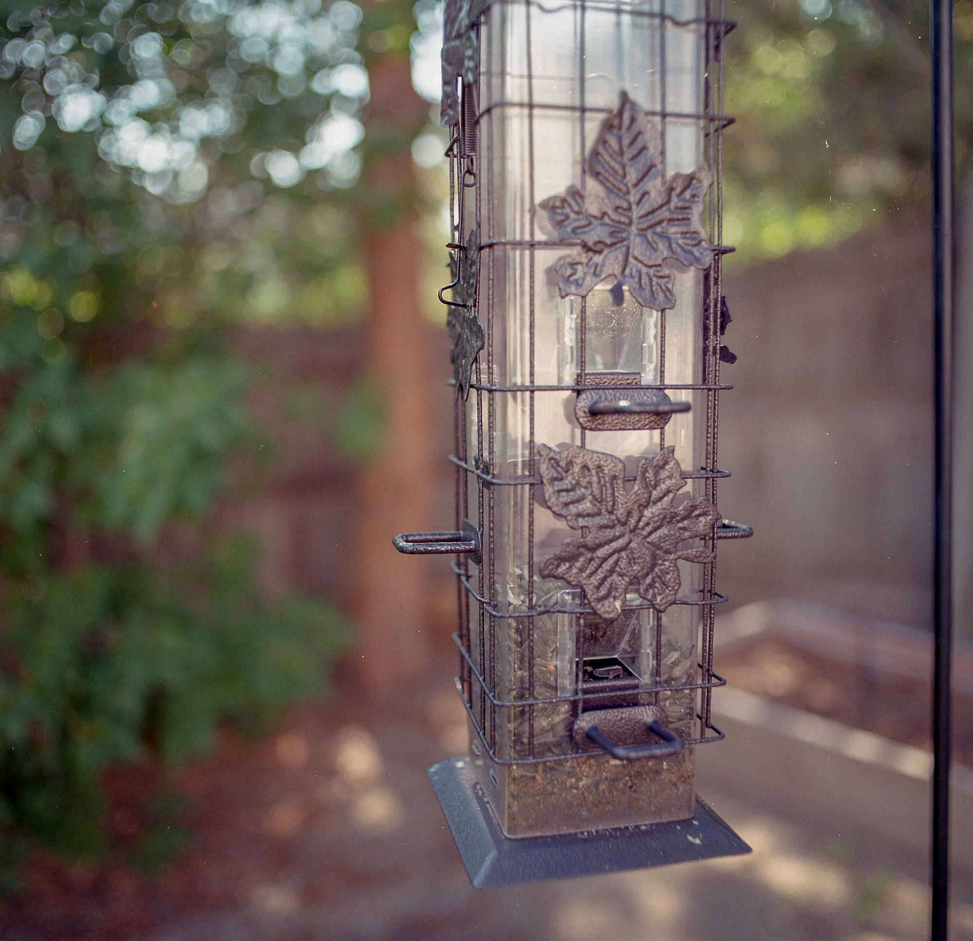 When the Bird Feeder Is Empty