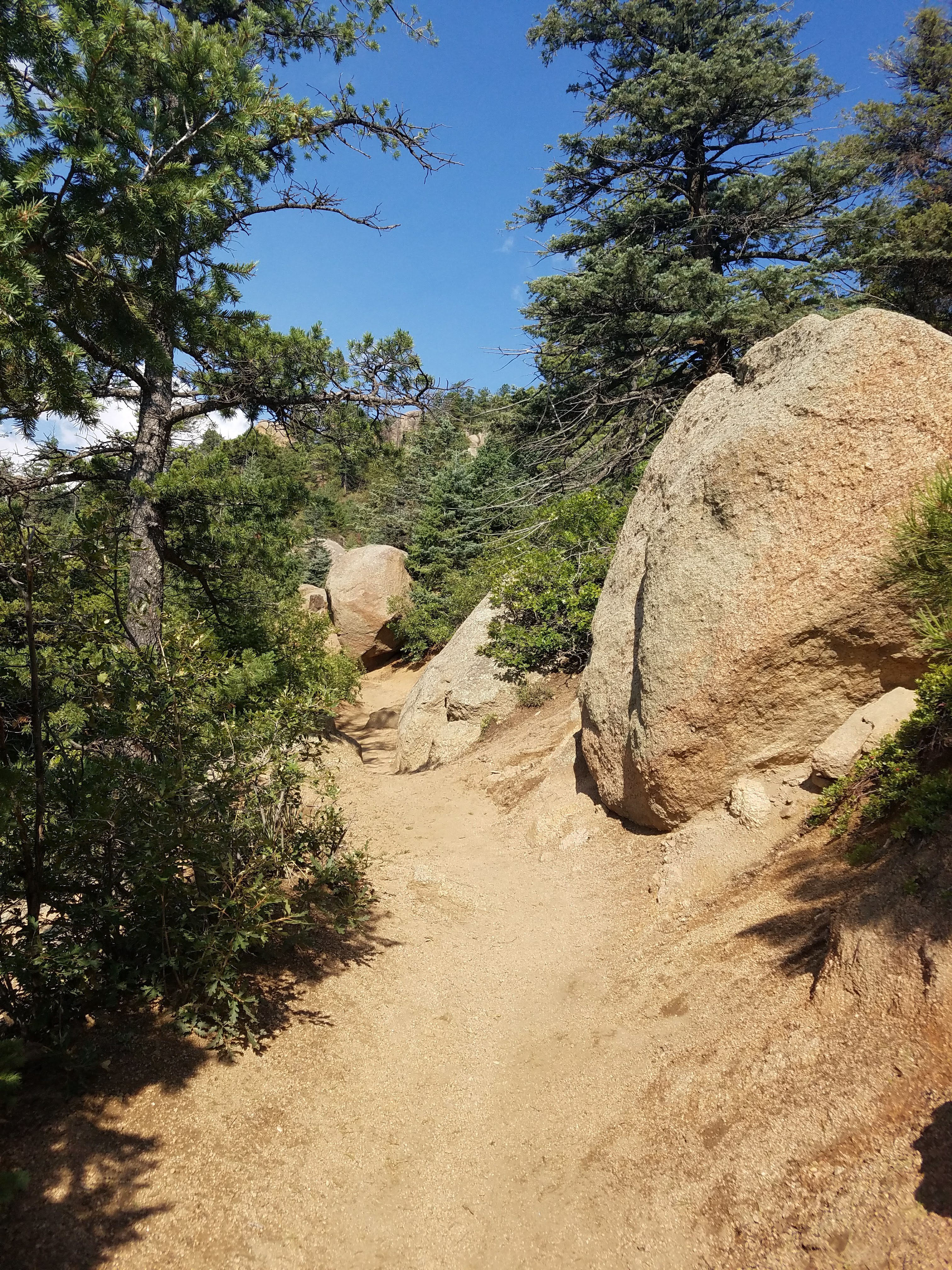 Following the Trail
