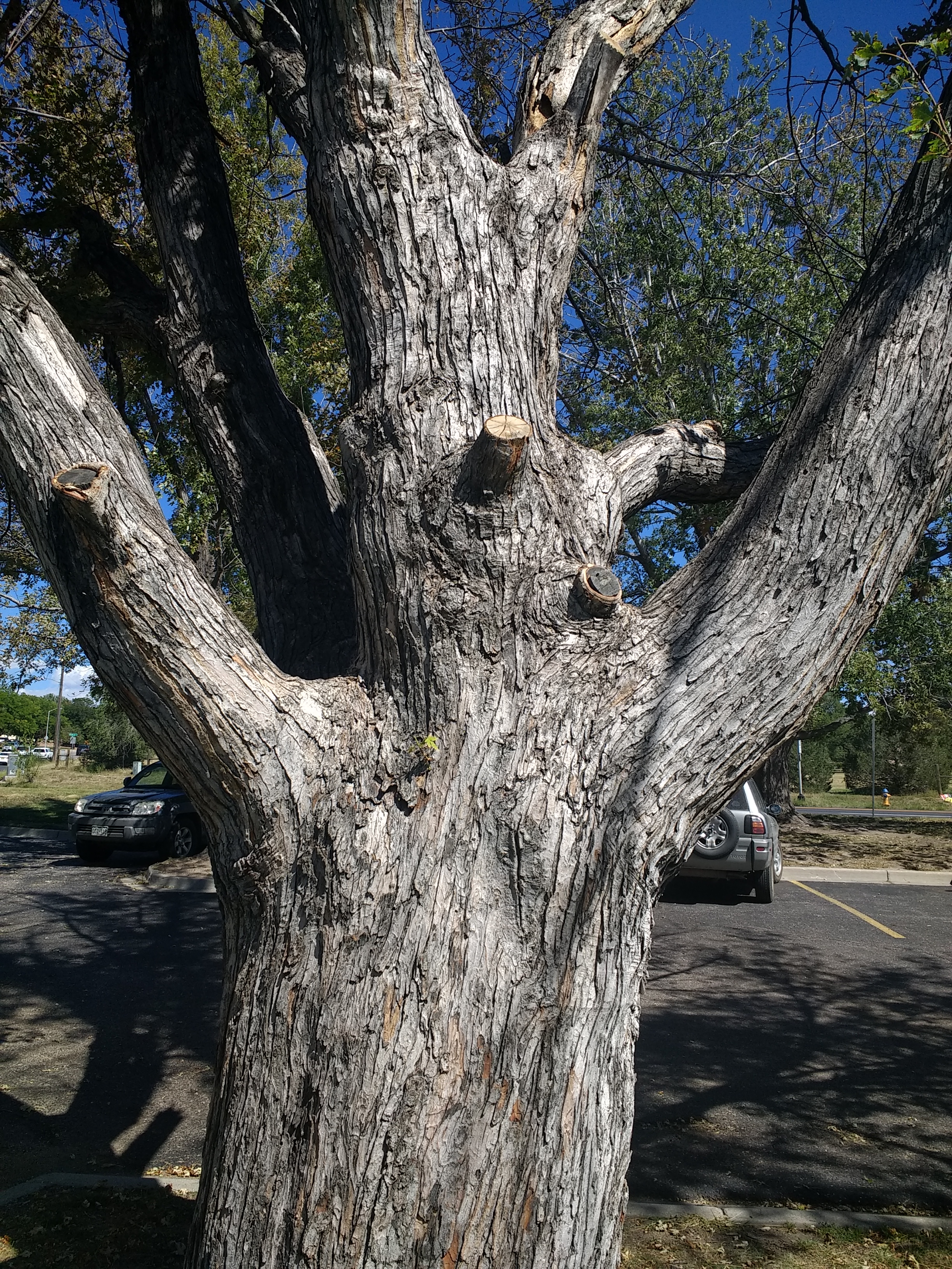 Seeing the Cross…Everywhere