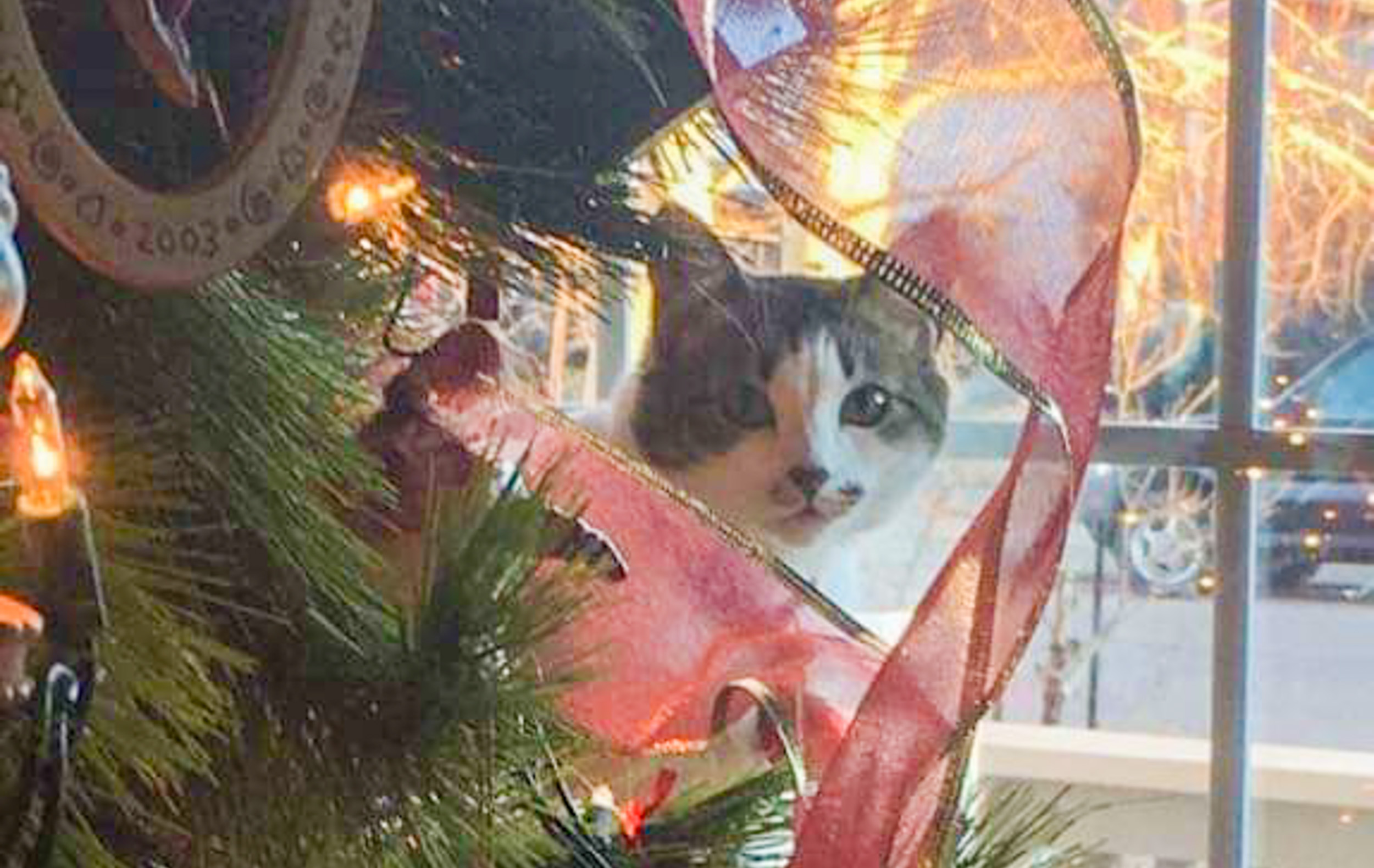 Christmas Battles