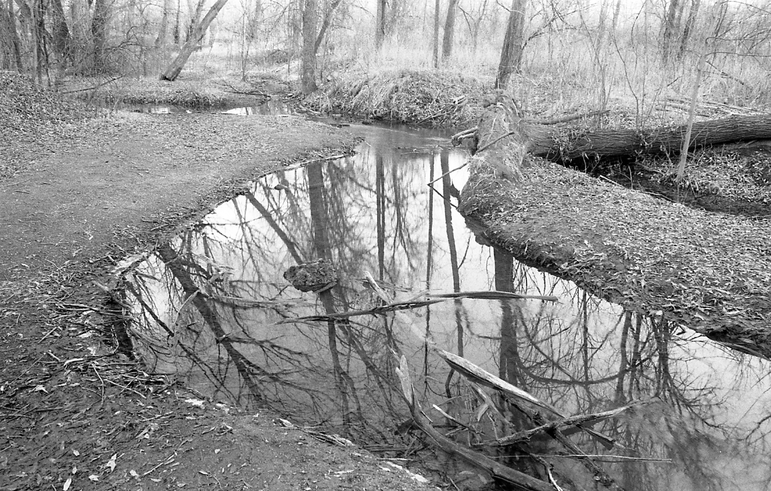 But a Reflection But a Reflection