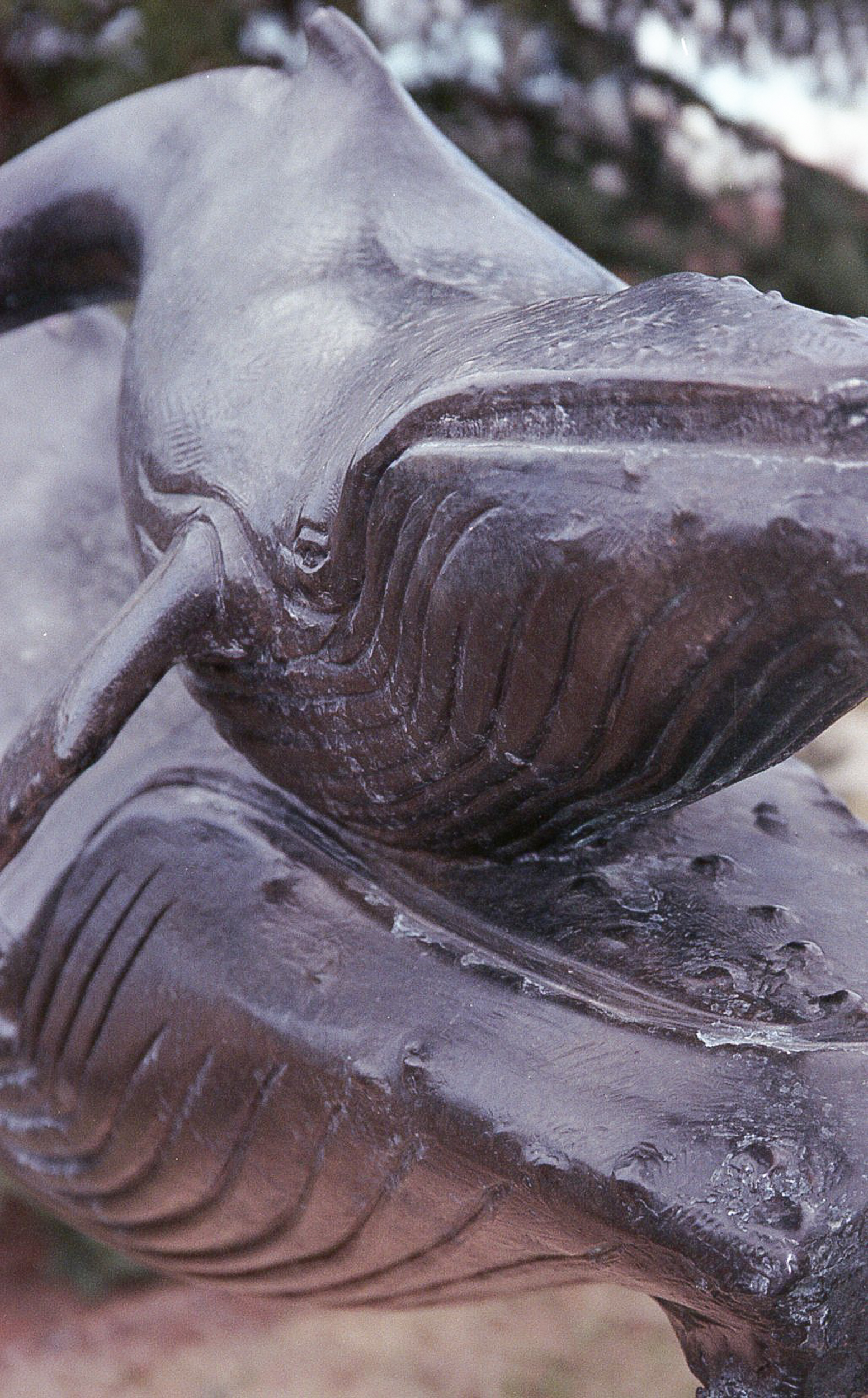 What Do Whales Have to Do with Maundy Thursday? What Do Whales Have to Do with Maundy Thursday?