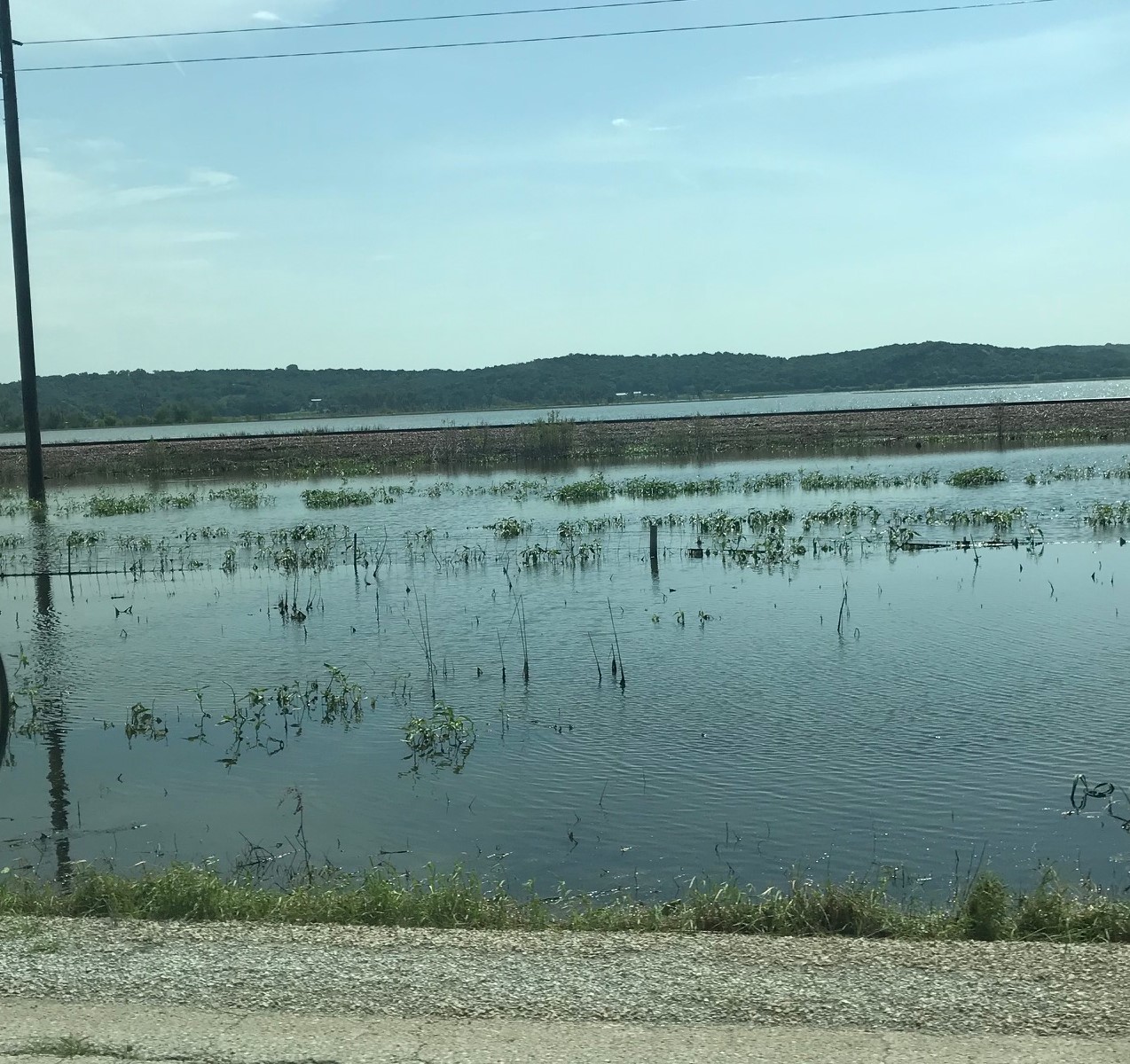 Surviving Life’s Floods Surviving Life’s Floods