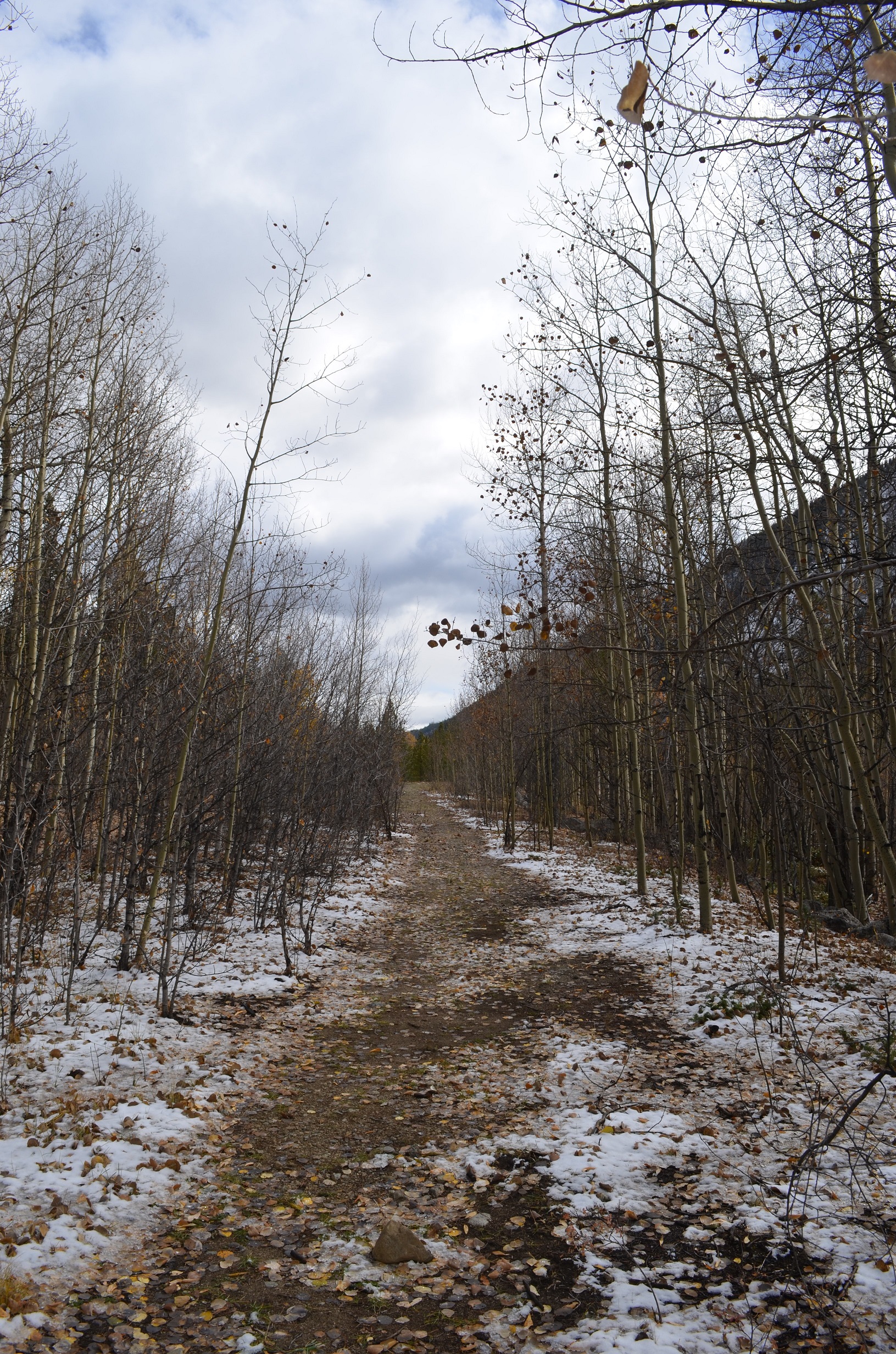 The Advent Path The Advent Path