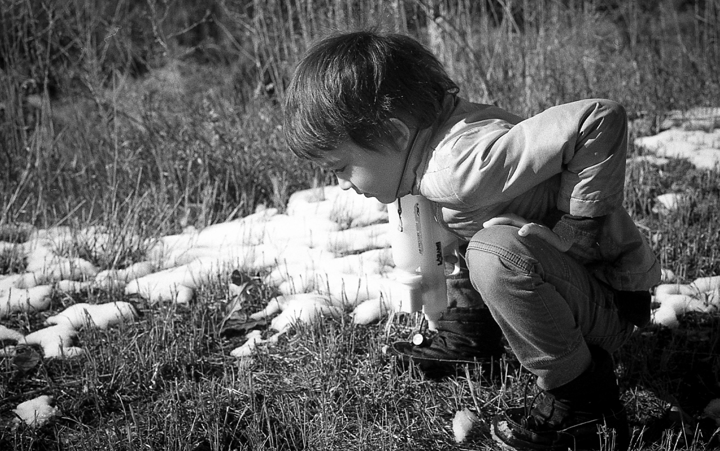 Looking for Snakes in Ground Squirrel Holes