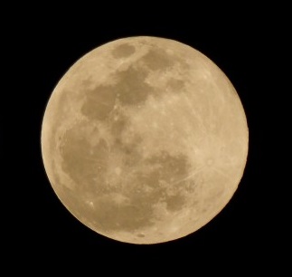 Moonsong