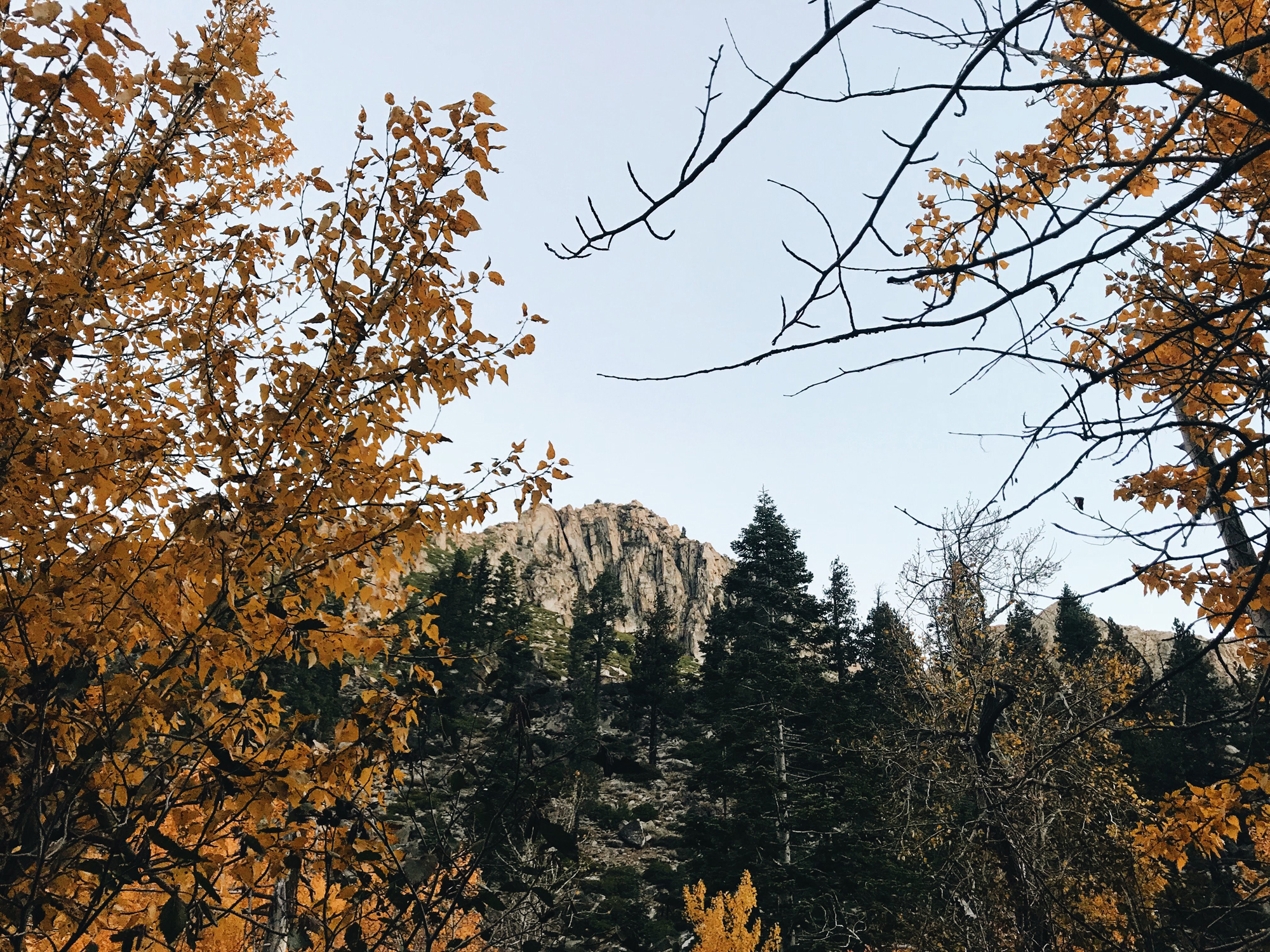 Seasons