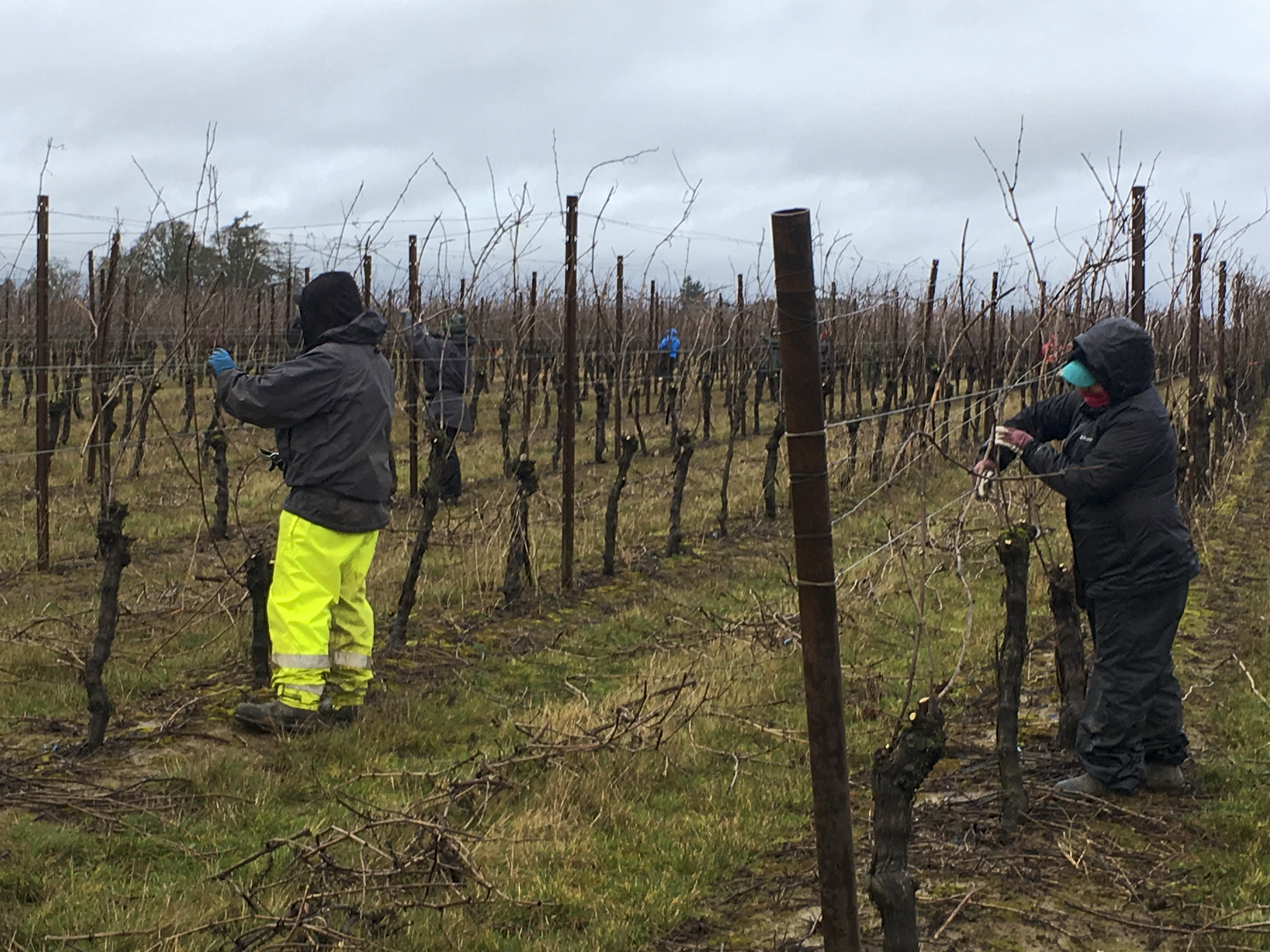 Powerful Pruning