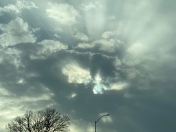 Praise