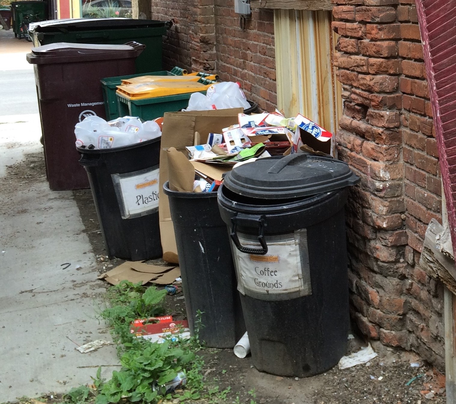 Blessed Trash Blessed Trash