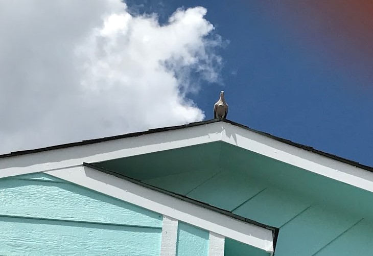 Always Watching