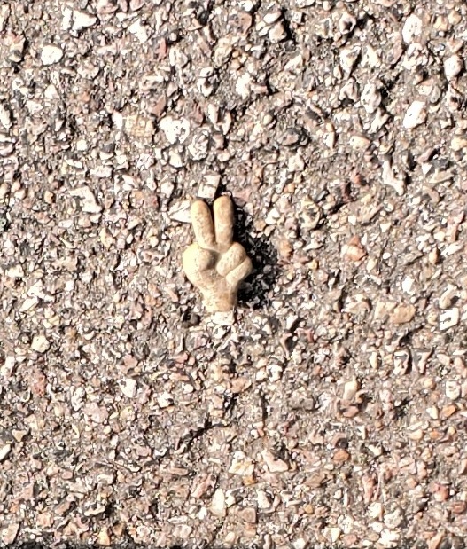 Like, Peace, Man! Like, Peace, Man!