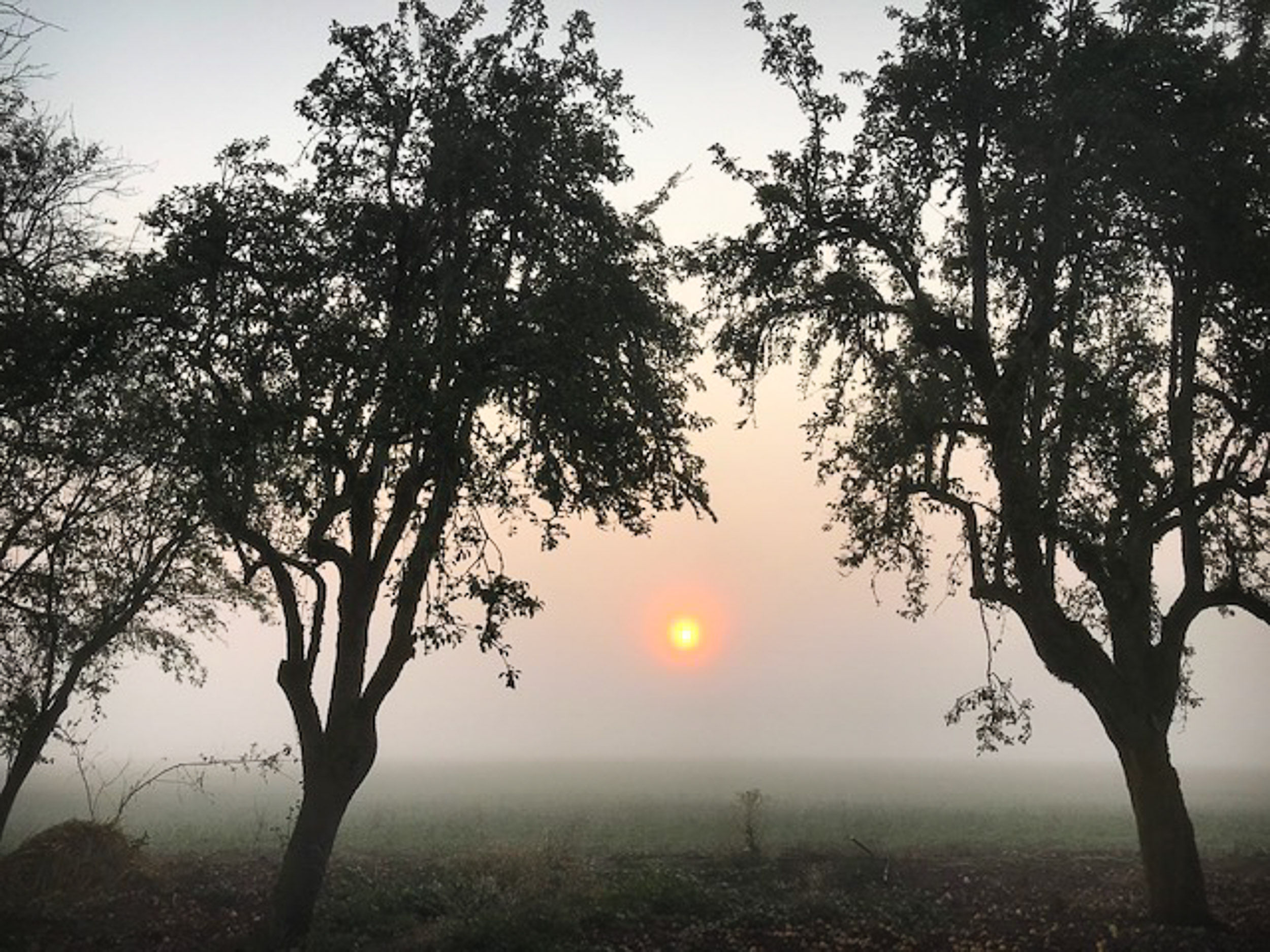 The Hope of His Glory