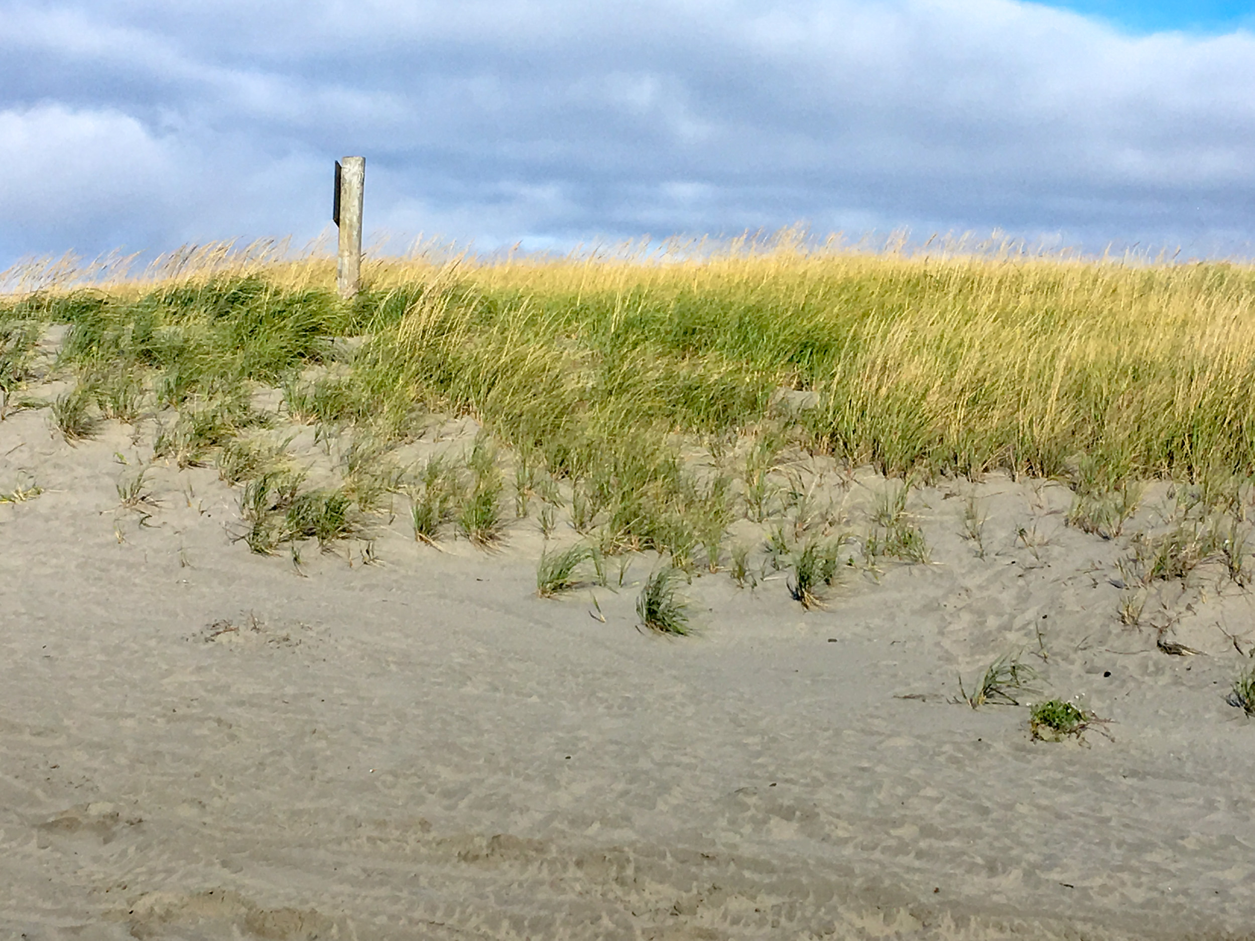 Shifting Sand