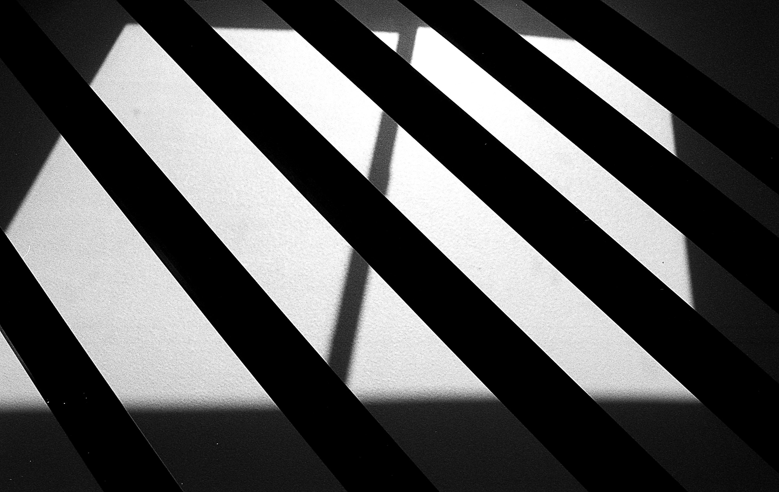 Black and White in a Sea of Gray