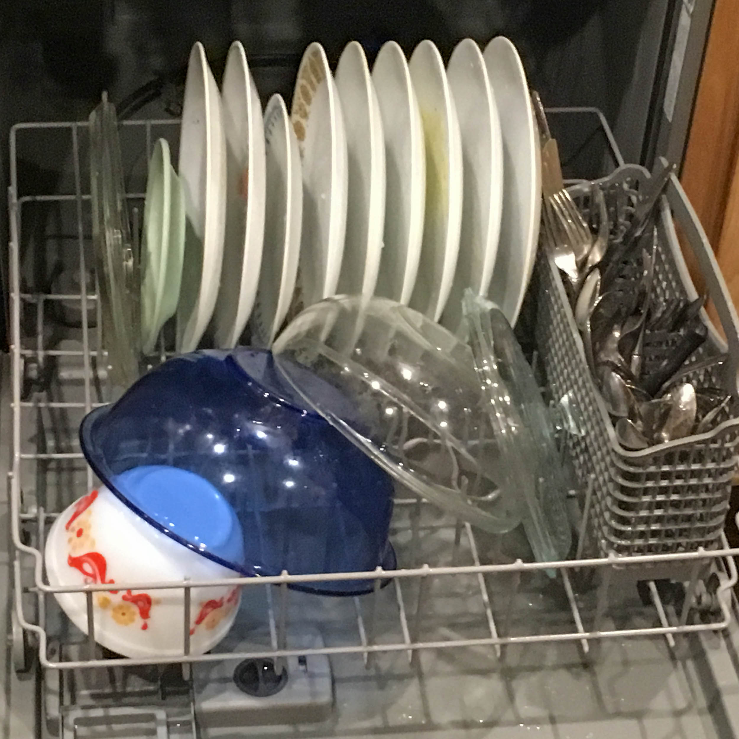 Washed Clean