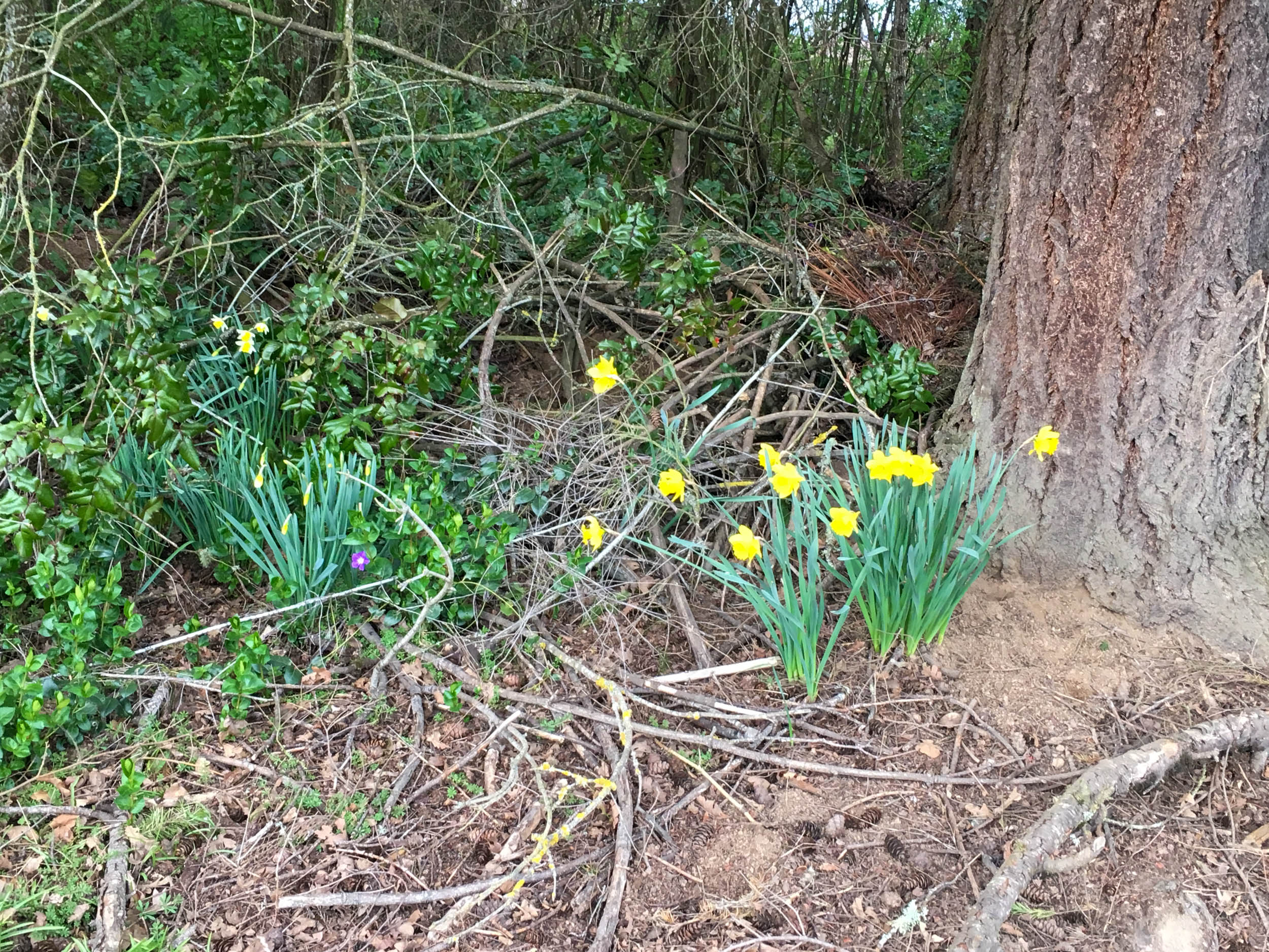 Spring Again!