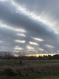 All Creation All Creation