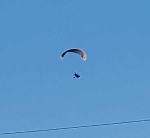 Gliders