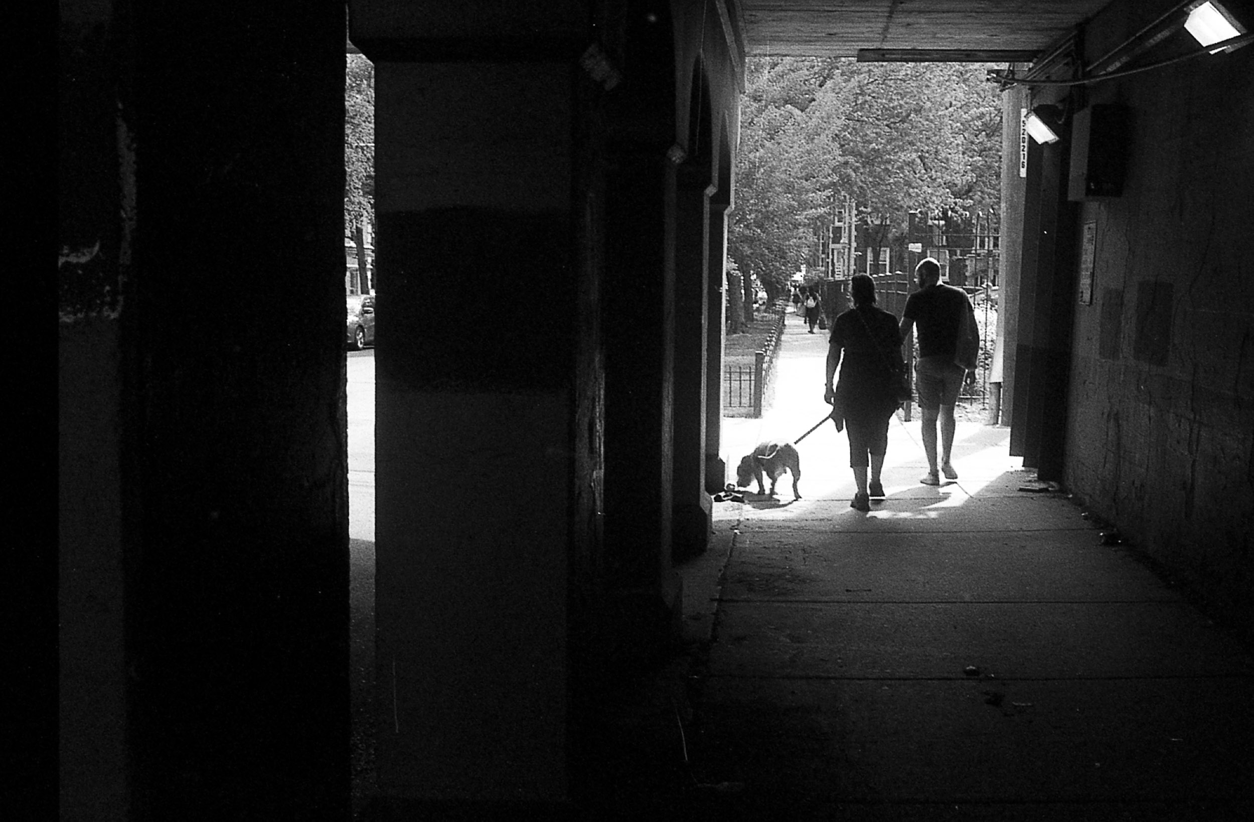 Stepping into Light