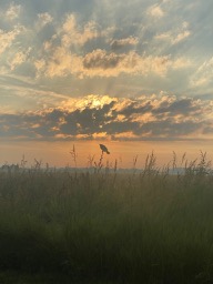 The Hand of God