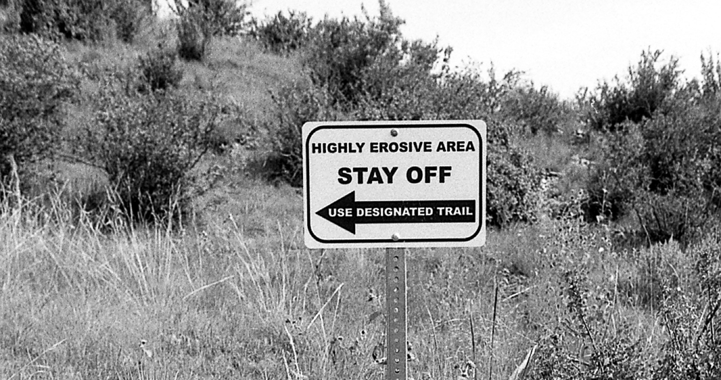 Stay Off Or Stay On?