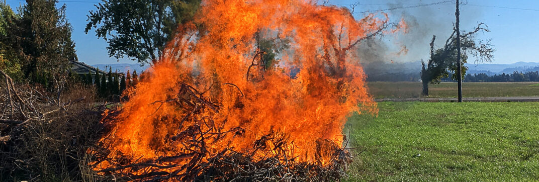 Baptism of Fire