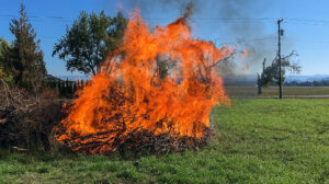 Baptism of Fire