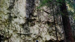 Beauty from Ashes