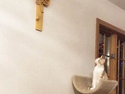 My Eyes on the Cross