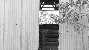 The Closed Tomb and the Open Door