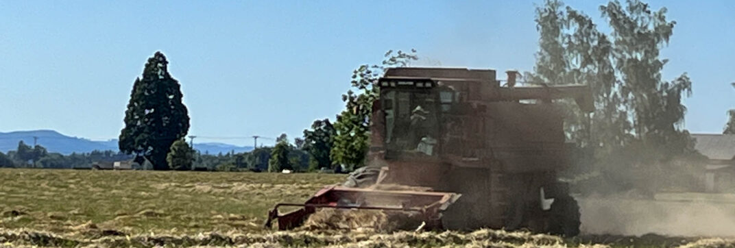Time For Harvest!
