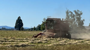Time For Harvest!