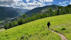 Redirected Paths