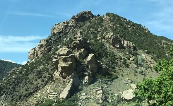 What Do You See?