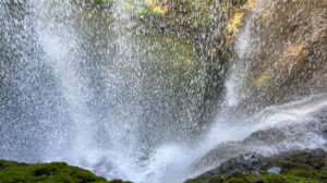 Living Water