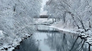 Bridge Bridge