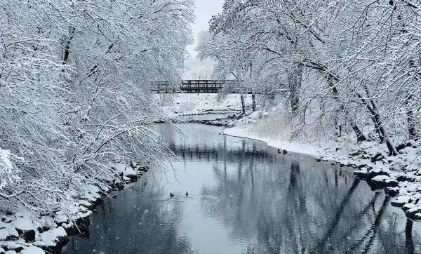Bridge