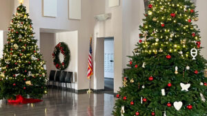 O Christmas Tree!