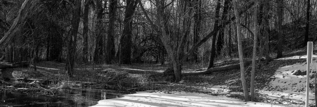 The Dance of Light and Shadows