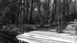The Dance of Light and Shadows