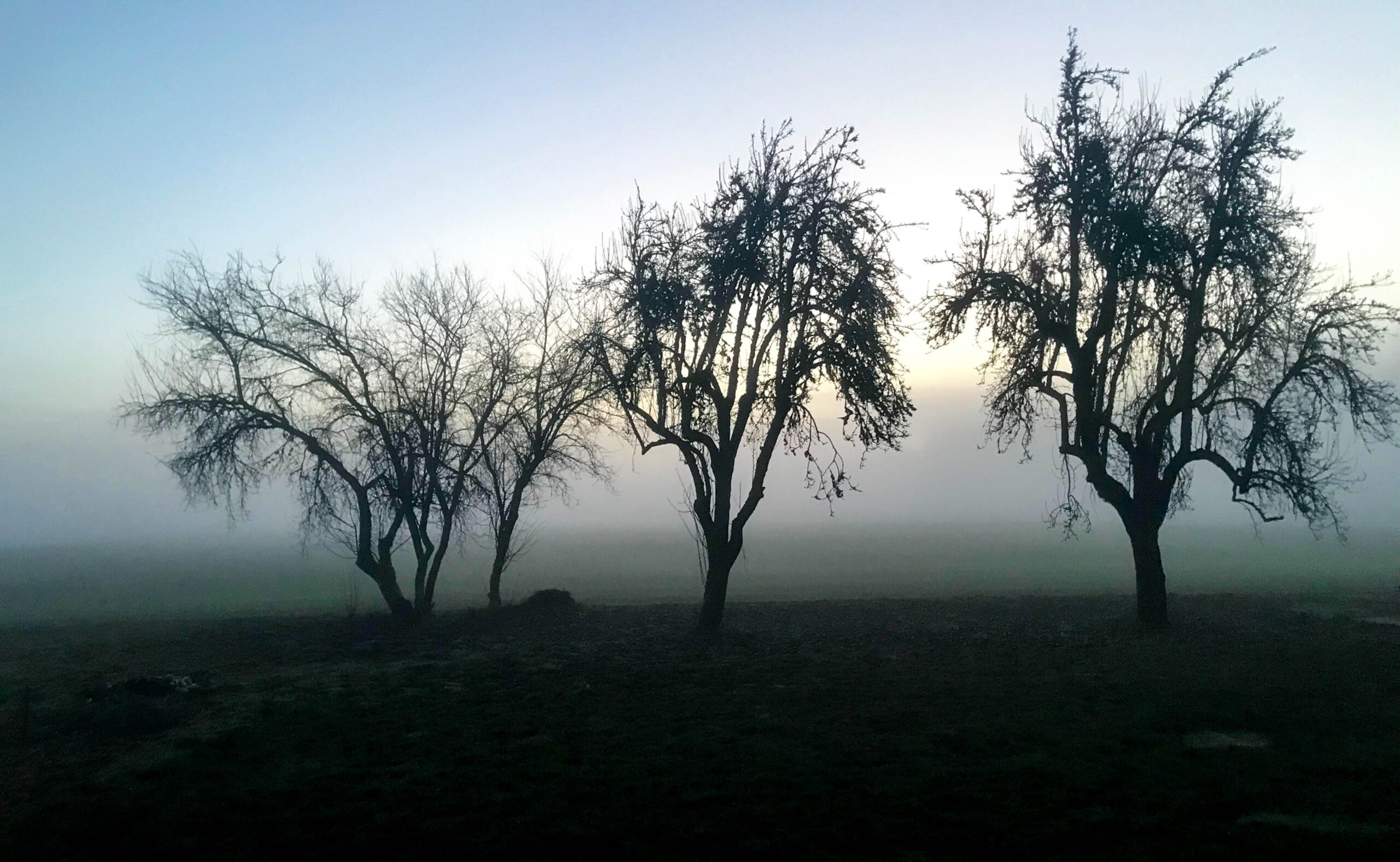 Morning Mist