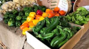 A Harvest of Blessing